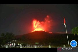 Gunung Lewotobi meletus Jumat malam ini melontarkan api pijar dan abu 10 km