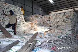 Bulog Madura pastikan stok pangan aman selama kemarau