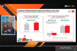 BPS catat surplus neraca dagang semester 1 mencapai 19,48 miliar dolar AS