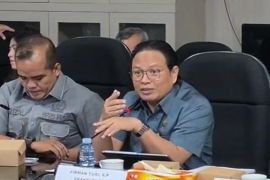 DPRD Kalsel dorong optimalisasi pendapatan dan efisiensi anggaran