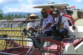 Pemkab Jayapura serahkan mesin panen padi petani di Namblong
