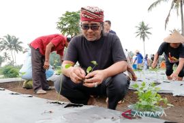 Bupati  Temanggung siapkan hadiah bagi tanaman cabai produktif