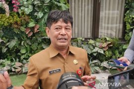 Bakesbangpol belum temukan pengibaran bendera One Piece di Kota Malang