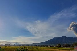 PGA Bukittinggi catat 13 Erupsi Marapi sepanjang Juli