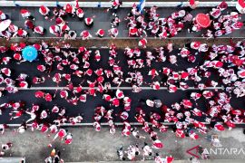 Indonesia may ban display of 'One Piece' anime flags on I-Day