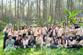 Pertamina Patra Niaga Regional JBB dukung pelestarian tanaman langka Saninten di Desa Suntenjaya