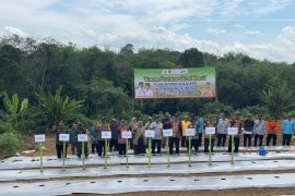 Penyuluh Pertanian Desa Kinarum perkuat ekonomi petani dengan koperasi