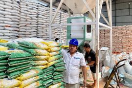 Bulog catat distribusi beras bantuan pangan capai 87 persen di kota Batam