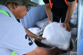 Cloud seeding used to battle wildfires in W Sumatra: BPBD