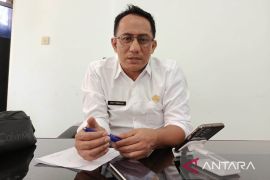 BPBD: Kebakaran hutan dan lahan dominasi bencana alam di Bangka Belitung