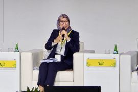 PLN siap wujudkan akses listrik berkeadilan hingga pelosok negeri