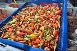 Bapanas:  bawang merah Rp48.737/kg, cabai rawit Rp49.727/kg
