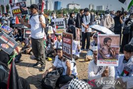 Serangan Israel tewaskan 14 warga Palestina di Gaza
