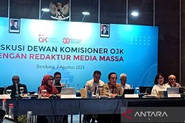 OJK: Jaminan pemerintah bagi pinjaman Kopdes jadi perkembangan positif