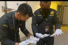 Rp5.2B worth of frog legs exported from South Sumatra to France