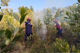 BNPB minta pemda siaga hadapi potensi banjir dan karhutla