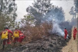 Pusdalops catat dua wilayah di Sumut  dilanda kebakaran hutan dan lahan