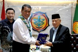 Mentan: Lonjakan produksi beras dongkrak ekonomi nasional