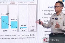 Forest, land fires account for 60% disasters in country: BNPB