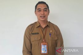 Bangka Belitung Islands bans hoisting of pirate anime flags