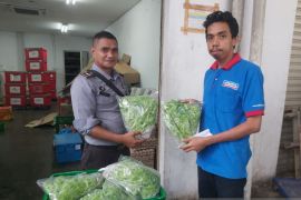 Lapas Ambon jual sayuran hidroponik yang dikelola warga binaan ke supermarket