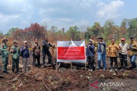 Kemenhut segel 3 perusahaan dengan areal gambut terbakar di Riau
