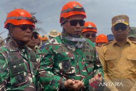 1098 hektare lahan di Rohil terbakar dalam sebulan