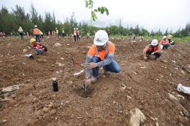 SIG lakukan upaya pemulihan lahan pascatambang lewat perlindungan hayati