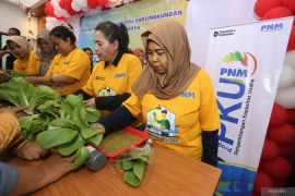 Pelatihan hidroponik untuk nasabah PNM Mekaar