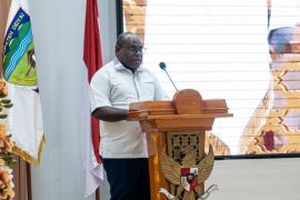 Pemprov Papua Tengah: Semua pihak gotong-royong tuntaskan malaria