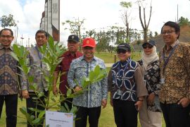 Wamenlu ajak diaspora jadi mitra strategis pembangunan nasional