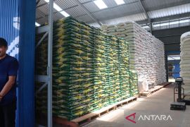 Bulog Lamsel pastikan beras bantuan pangan berkualitas baik