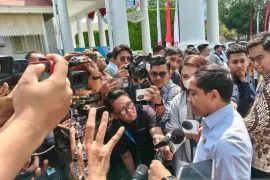 Ministry, GWF team up for elephant conservation on Prabowo land