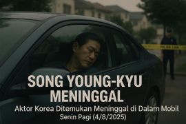 Song Young-kyu ditemukan tak bernyawa di mobil, polisi: tak ada tanda kekerasan