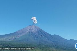 Semeru alami erupsi dengan tinggi letusan 700 meter