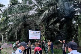 Satgas PKH-Kejati Sumbar tertibkan hutan di Pasaman