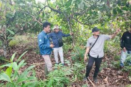 Pemprov Sultra cek ekosistem lahan Sekolah Garuda di Konsel
