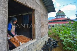 Produksi gula semut di Solok Page 2 Small