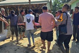 Tragis, Seorang ibu tewas dipijak gajah saat menjaga ladang di Bengkalis