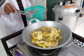 Tim Unila ciptakan cemilan inovatif berbasis kulit pisang dan bayam