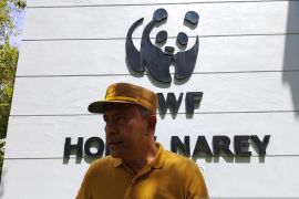 Pemkab Jayapura: Sekolah rakyat di Kampung Kwadeware siap dibangun