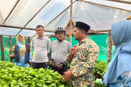 Pemkab Padang Pariaman siapkan langkah regenerasi petani hadapi tantangan pertanian