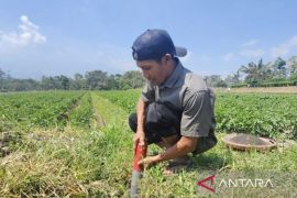BPN Jatim: GEMAPATAS cegah konflik pertanahan