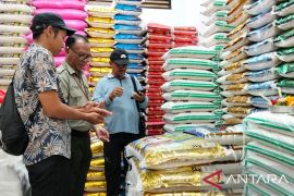 Kementerian Pertanian pantau beras di Jembrana