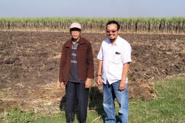 Petani tebu desak pemerintah perbaiki total tata niaga gula nasional