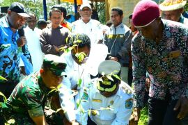 Pemkab Jayawijaya ajak masyarakat di 328 kampung lestarikan lingkungan