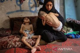 UEA, Yordania, Prancis dan Jerman kirim bantuan ke Gaza