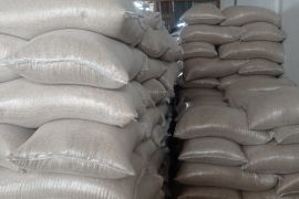 Produksi gabah kering giling di Lebak Januari-Juli 382.293 ton