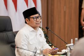 Menko Muhaimin tanggapi fenomena pengibaran bendera One Piece