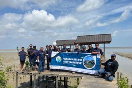 Astra Motor Kalbar Dukung Pelestarian Lingkungan dengan Tanam Pohon Mangrove